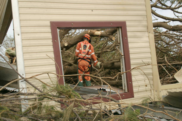 Tree Removal